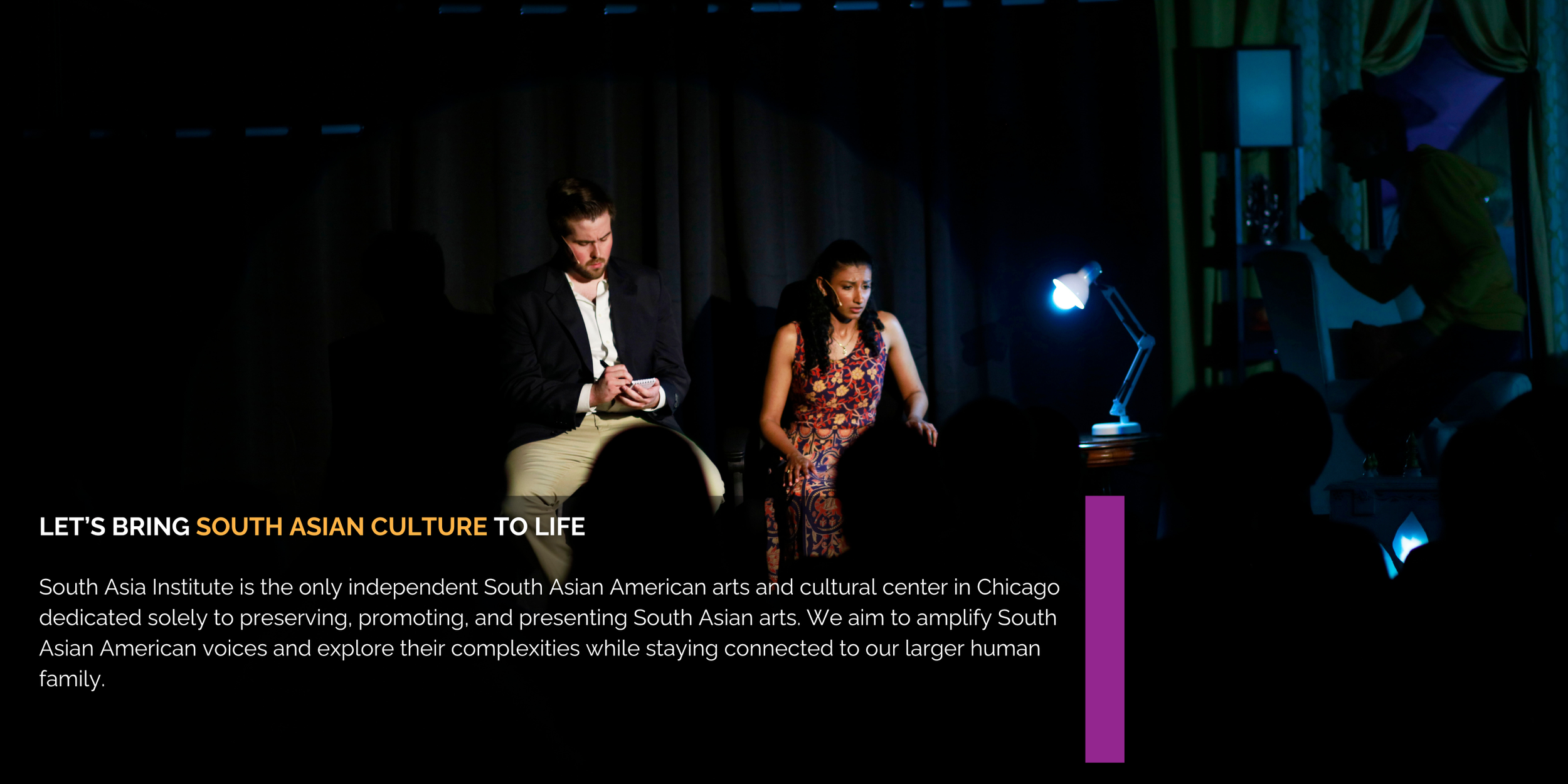 South Asia Institute